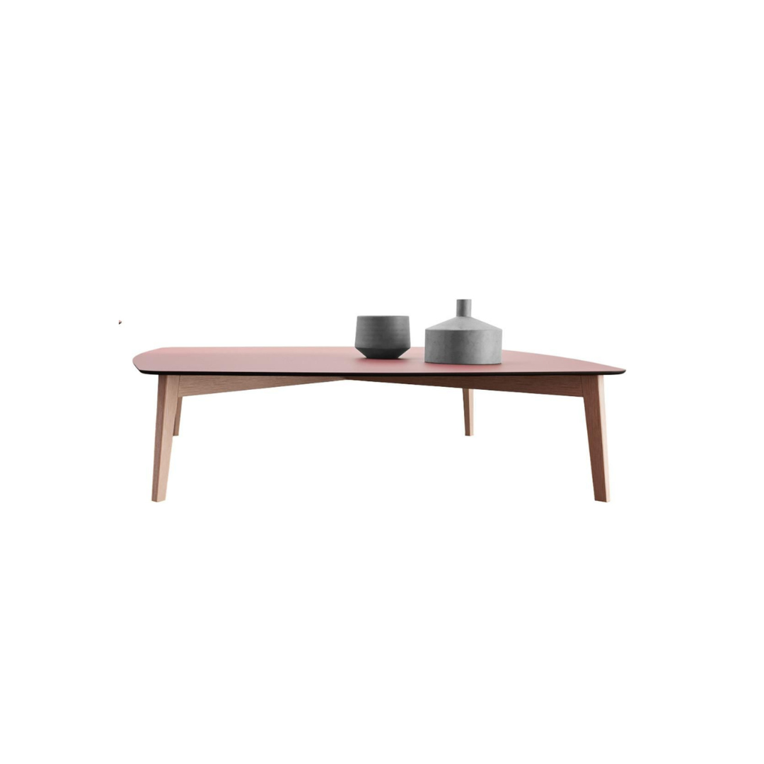 sleek and modern coffee table