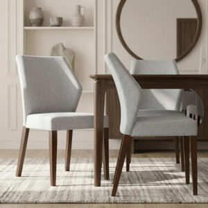 Dining Dining Chair Chair Furniture Furniture near me SOUL